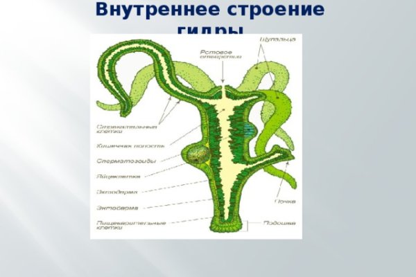 Почему сегодня не работает площадка кракен