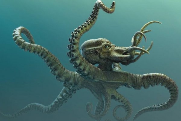 Kraken наркошоп