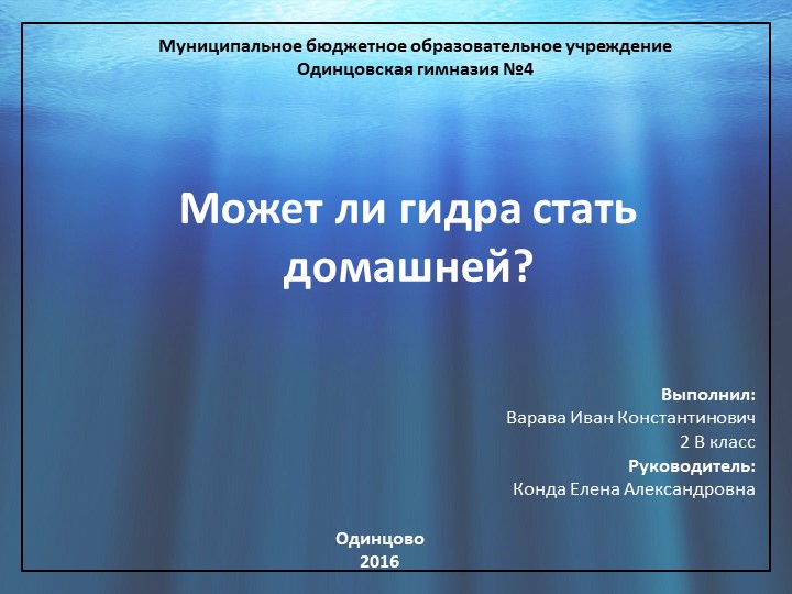 Kraken cc зеркало kr2web in